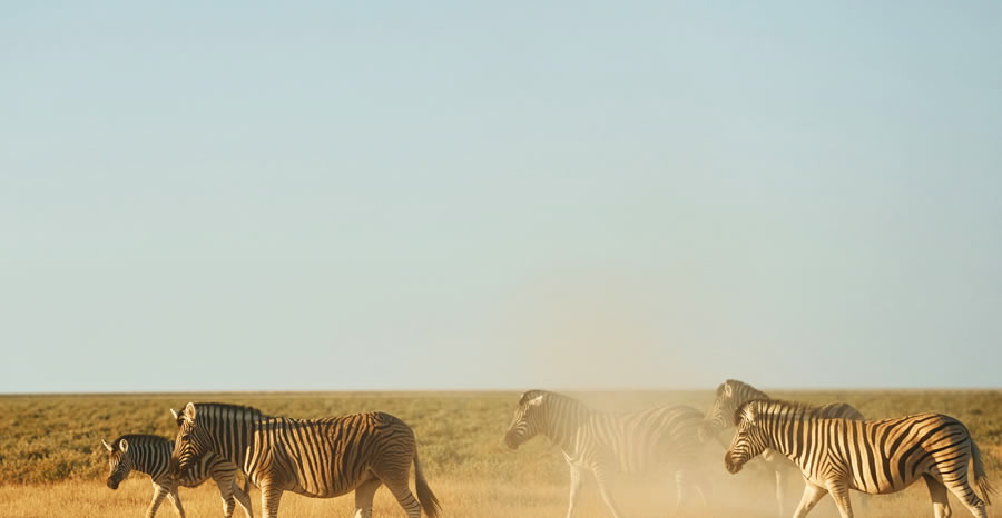 Safari 2 Jours Amboseli depuis Nairobi_4